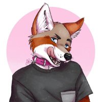 Hashu (@hashu_at) 's Twitter Profile