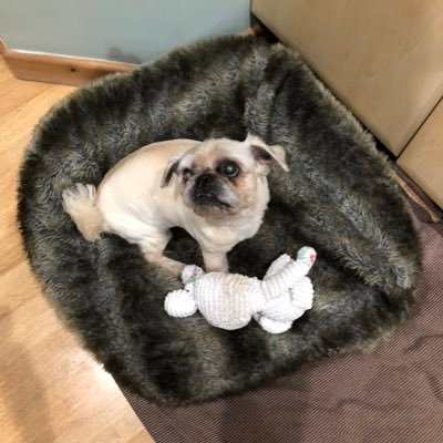 MurrayWyness's profile picture. I’m me, kind and generous and like a good laugh and a burger!!!!!!! Gluten free bun ha ha