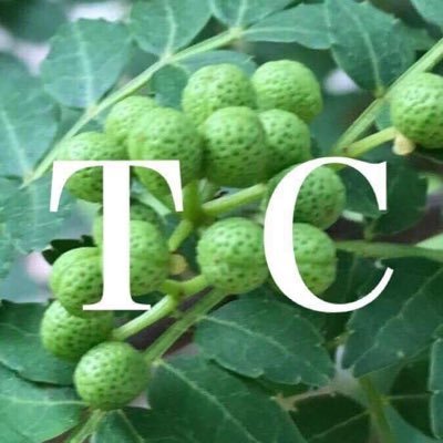 tabayamaclub's profile picture. #原木舞茸 の生産量日本一の #丹波山倶楽部 です！ 原木舞茸の栽培をはじめ、企業様の畑管理、団体様向けの山岳・リバーガイド、キャンプのコーディネート等を行っております。丹波山倶楽部の日常をつぶやきますのでぜひフォローを！ 2020年から #キャンプ場 運営も始めましたが、現在改良中です！ お問い合わせはDMまで！