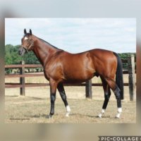 Bridge Stud (@bridgestud) 's Twitter Profile Photo Bridge Stud (@bridgestud) 's Twitter Profile Photo