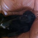 Matthew Dalby - @dolby2612 - Twitter