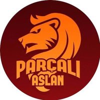 Parçalı Aslan 🦁(@ParcaliAslanorg) 's Twitter Profile Photo