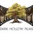 Dark Hollow Films