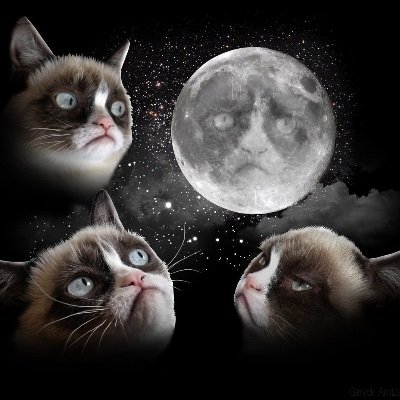 Coachbot8's profile picture. The grumpy cat has a chance to be happier in life by taking a systemic perspective onto it. Join the cat. Join the movement #systemiccoaching