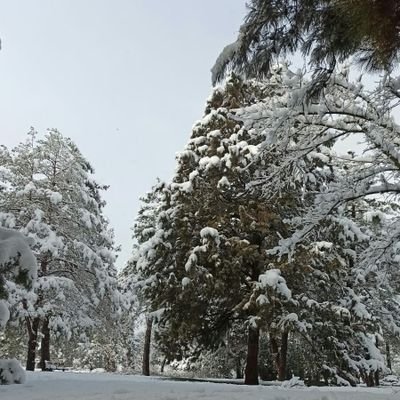 kişisel blog