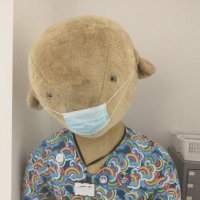 PaedsOPD - DGNHSFT (@paedsopd) 's Twitter Profile Photo