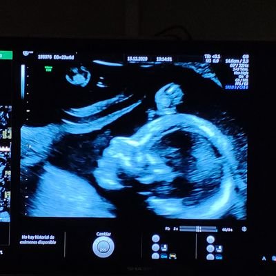 PairoaVan's profile picture. 