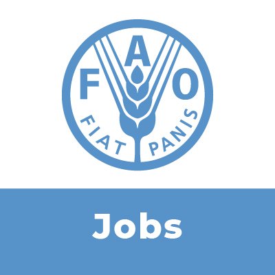 Latest vacancies & opportunities at @FAO.  This account is automated.

Follow our Director-General @FAODG. 

#UNJobs #FAOJobs #JobOpportunities