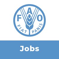 Vacancies at FAO (@faojobs) 's Twitter Profile Photo Vacancies at FAO (@faojobs) 's Twitter Profile Photo