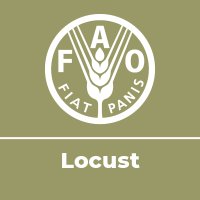 FAO Locust