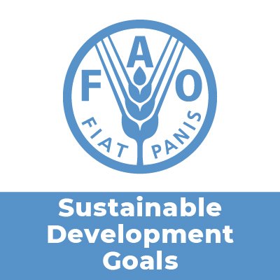 Featuring @FAO's progress on #SDGs through agrifood systems transformation

Follow @FAODG.

#FoodSystems #ACT4Better #Agenda2030