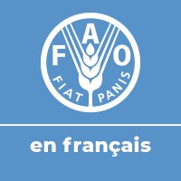 FAO en français(@FAOenFrancais) 's Twitter Profile Photo