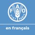FAO en français (@faoenfrancais) Twitter profile photo FAO en français (@faoenfrancais) Twitter profile photo