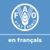 FAO en français (@FAOenFrancais) Twitter profile photo