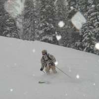 Paul H (@paulph69) 's Twitter Profile
