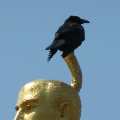 Caxixi2013's profile picture. 2012年にtwitterデビュー、しかしよく分からずズーと放置2020年に復活！多少は分かってきたもののまだよく分からない。仕事以外のツイート。仕事用はcaxixi2021
振って鳴らす楽器「カシシ(Caxixi)」職人