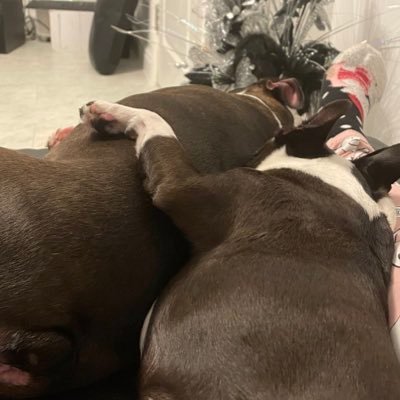 deluxeversion's profile picture. 