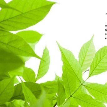 We are -Environmental site assessment Company in Ontario