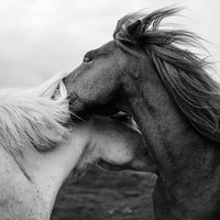 Morfin13 (@dniz45905688) Twitter profile photo