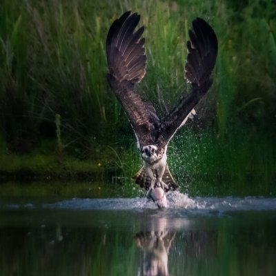 AlanCanadien's profile picture. 