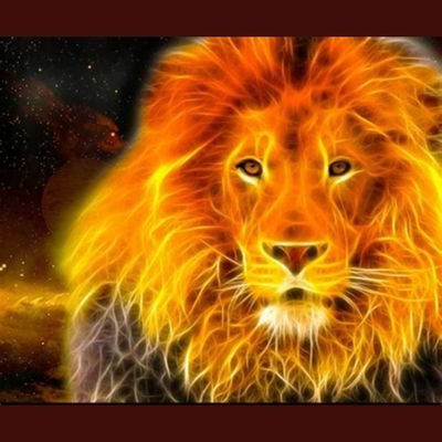 Qrisdenerf's profile picture. humain dans le combat de la vie meilleure,  pour le soin naturel ou différent, chacun son choix. 
liberté, égalité ! 
force aux patriotes actifs. biz