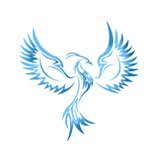 Phoenix Commodities Profile