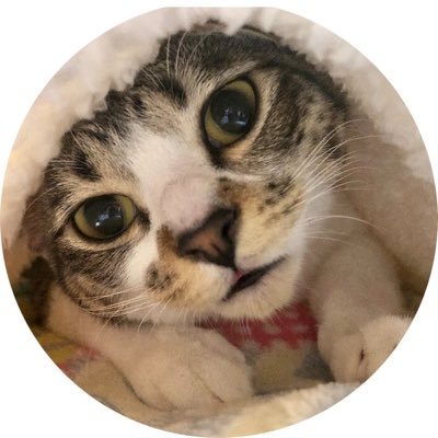 ☆TOMOKI☆さんのプロフィール画像