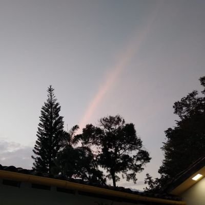 joseleonardo193's profile picture. 