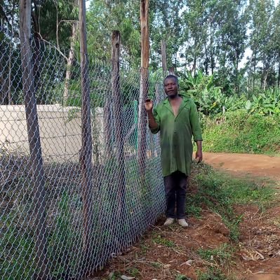 BiznestWires's profile picture. 