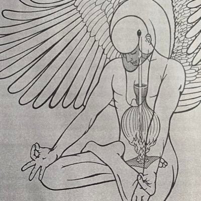 pepisbirds's profile picture. 