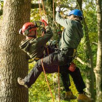 Kerry BCA (@kerry_bca) 's Twitter Profile Photo