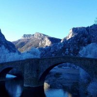 paco (@pakitron1_paco) 's Twitter Profile