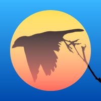 Neighbird (@neighbirding) 's Twitter Profile Photo Neighbird (@neighbirding) 's Twitter Profile Photo