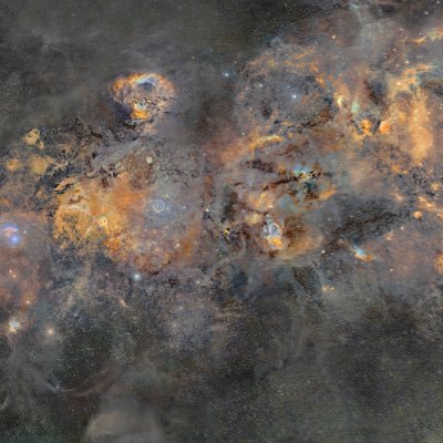 Bro_Intl's profile picture. making the best of 42