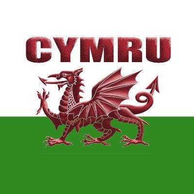 Proud Welshman from the valleys.🏴󠁧󠁢󠁷󠁬󠁳󠁿🇪🇺#FollowBackFriday sick of Westminster lies and corruption.