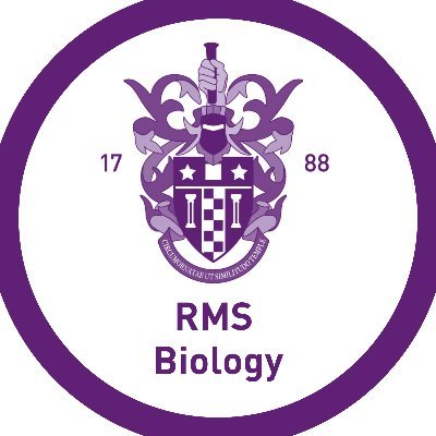 Latest news and updates from the Biology Department 
@rmsforgirls

#rmsgirlsthinkdifferently