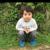 Berivanterzi (@berivanterzi) 's Twitter Profile