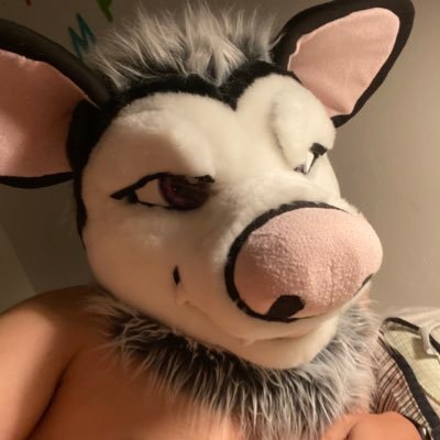 Trashy opossum | 31 | horny all the time | Male | kinky | WARNING NSFW 18+ only! No RP! Expect dicks, butts, latex, murr, paws and shitty amateur porn videos 🥵