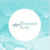 Brennan Lab(@brennan_lab) 's Twitter Profile Photo