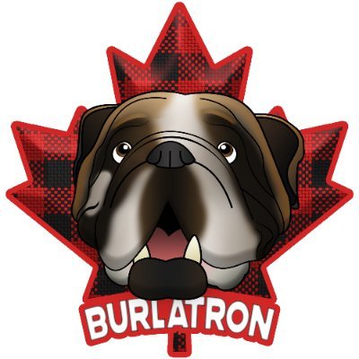 BurlatronGaming Profile Picture