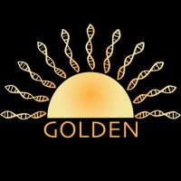 GOLDENDNA(@GOLDENDNA2) 's Twitter Profile Photo