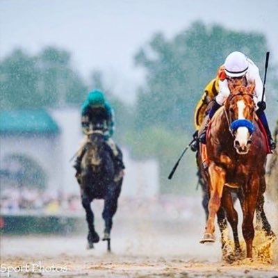 handicapper2000's profile picture. Horse Racing.