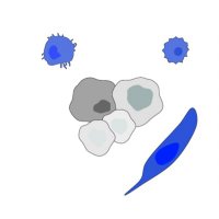 Saur Lab (@saurlab) 's Twitter Profile