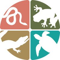 Herpetologia Brasileira (@herpetologiabr) 's Twitter Profile Photo