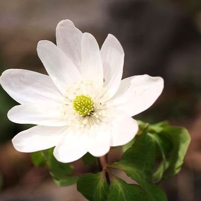 EFxRsnO0LarVbDe's profile picture. 北海道 
🌿
日々のことを
気ままにつぶやきます

空、時々ご飯、おやつ