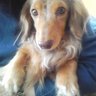 ken_fiore_endo's profile picture. Politologue 政治学者 （それにしてもピノくん美男子でしょ？）表明した意見は所属先とは無関係。あとRTやイイねは備忘録がてら。賛意とは限りません。