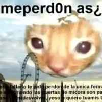Pepe El Meowity (@bkittycatz) 's Twitter Profile Photo Pepe El Meowity (@bkittycatz) 's Twitter Profile Photo