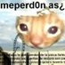 Pepe El Meowity (@bkittycatz) Twitter profile photo Pepe El Meowity (@bkittycatz) Twitter profile photo