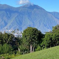 Valores Éticos (@ethical_values) 's Twitter Profile