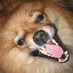 Arthur_Gong (@arthur_gong) Twitter profile photo Arthur_Gong (@arthur_gong) Twitter profile photo